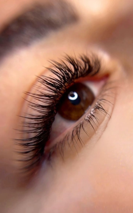 4ffd9aa3 d94b 487b bd05 0a3cb0afaa4e